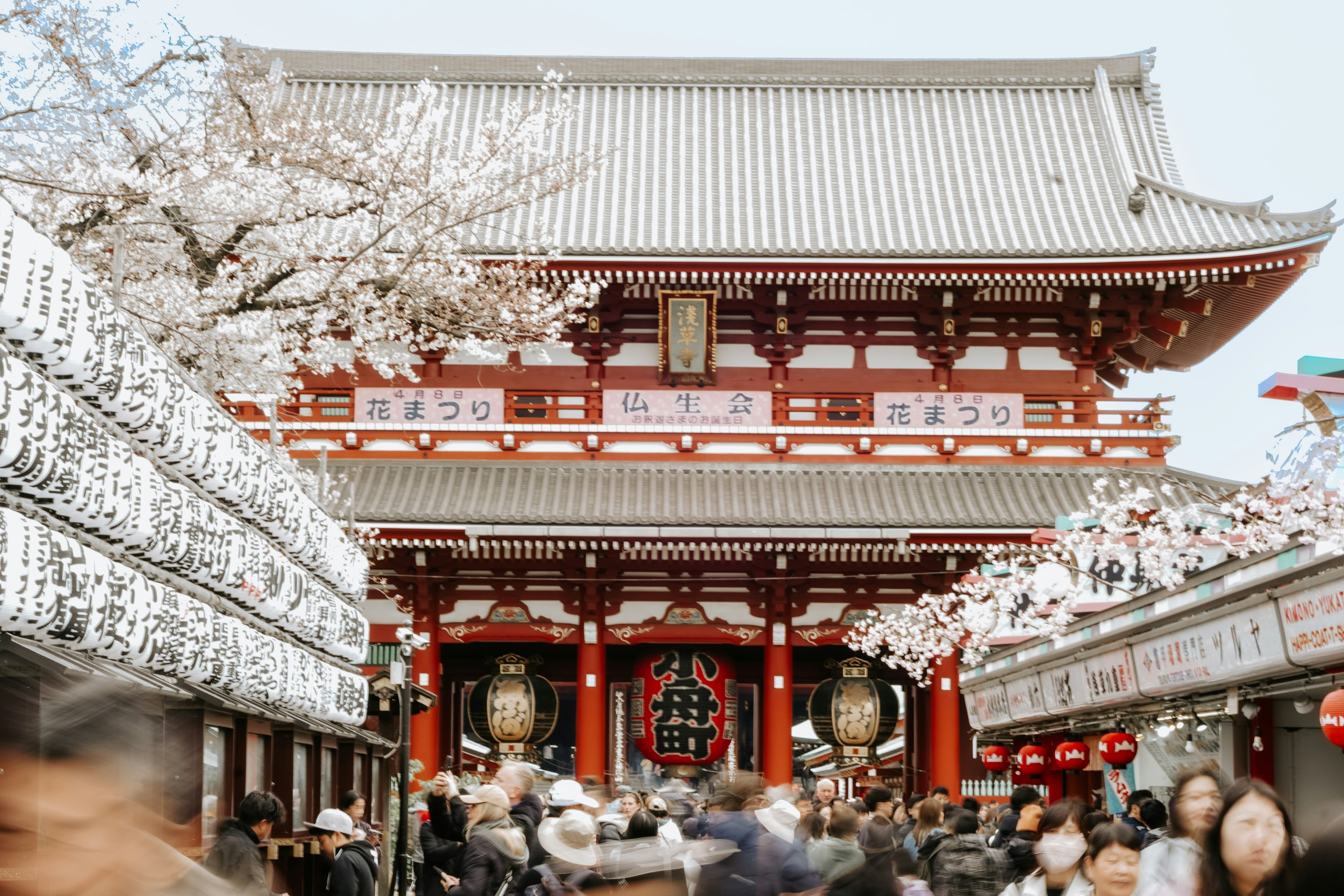 Mount Fuji and Chureito Pagoda in Japan